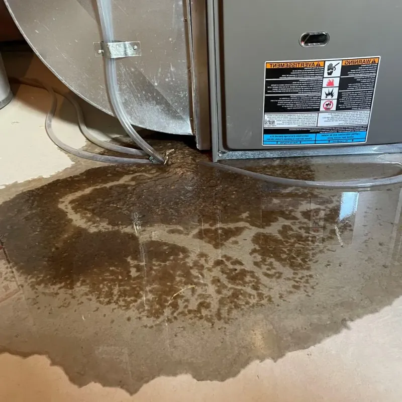 Pipe Burst and Leak Restoration in Lincoln, ID